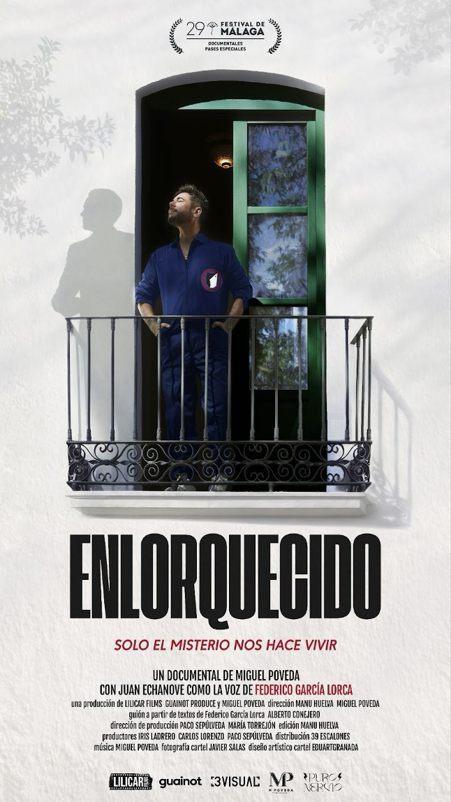Enloquecido cartel