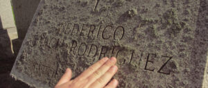 Enloquecido 